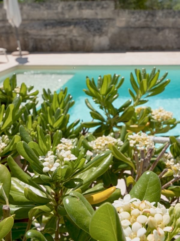 Piscina2 (1)